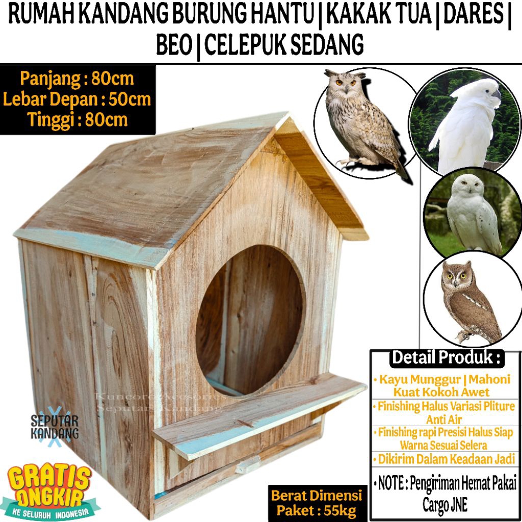 Kandang Rumah Khusus Burung Hantu || Burung Bubo Sumatranus || Burung Elang || Burung Bubo Bubo || B