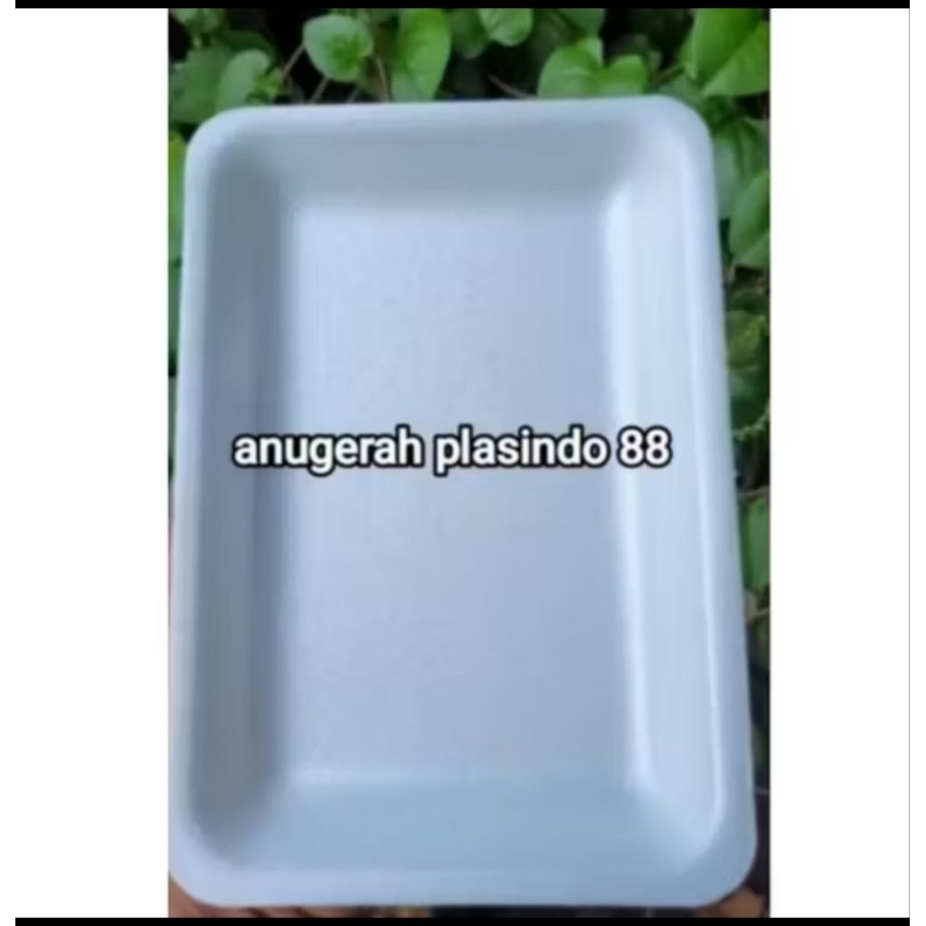 TRAY FOAM TR 2
