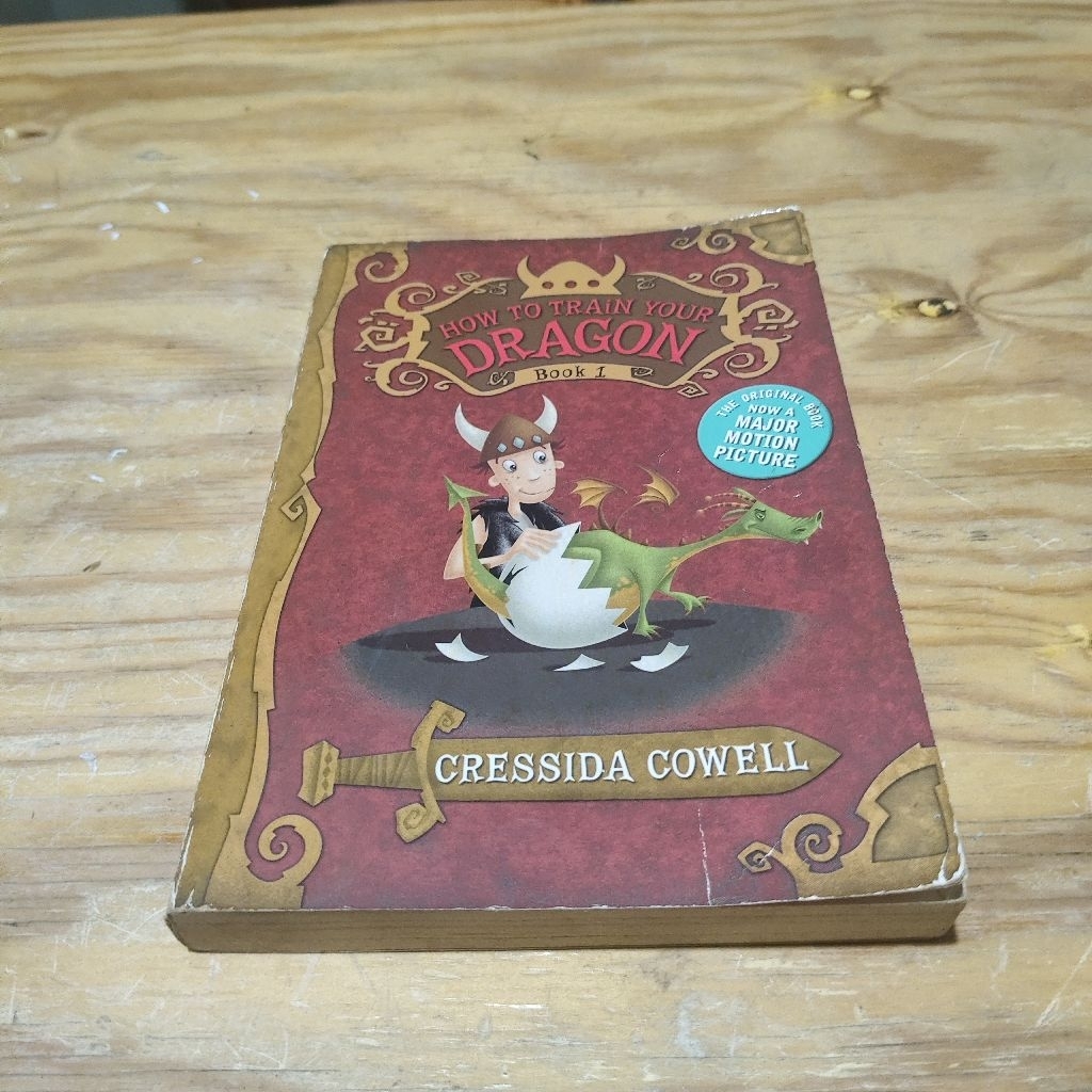 Novel How to Train Your Dragon Book 1