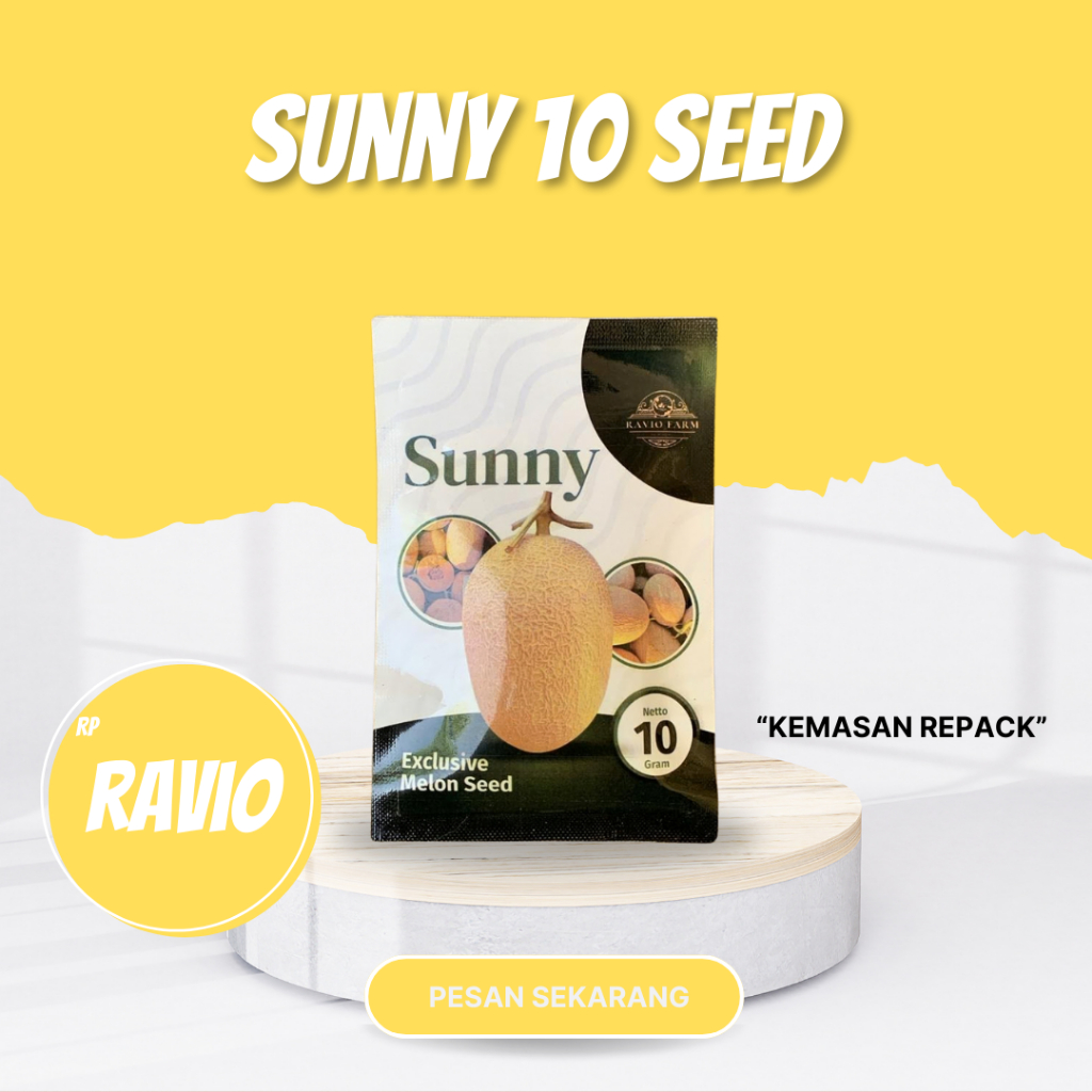 BENIH MELON SUNNY 10 SEED RAVIO SEED