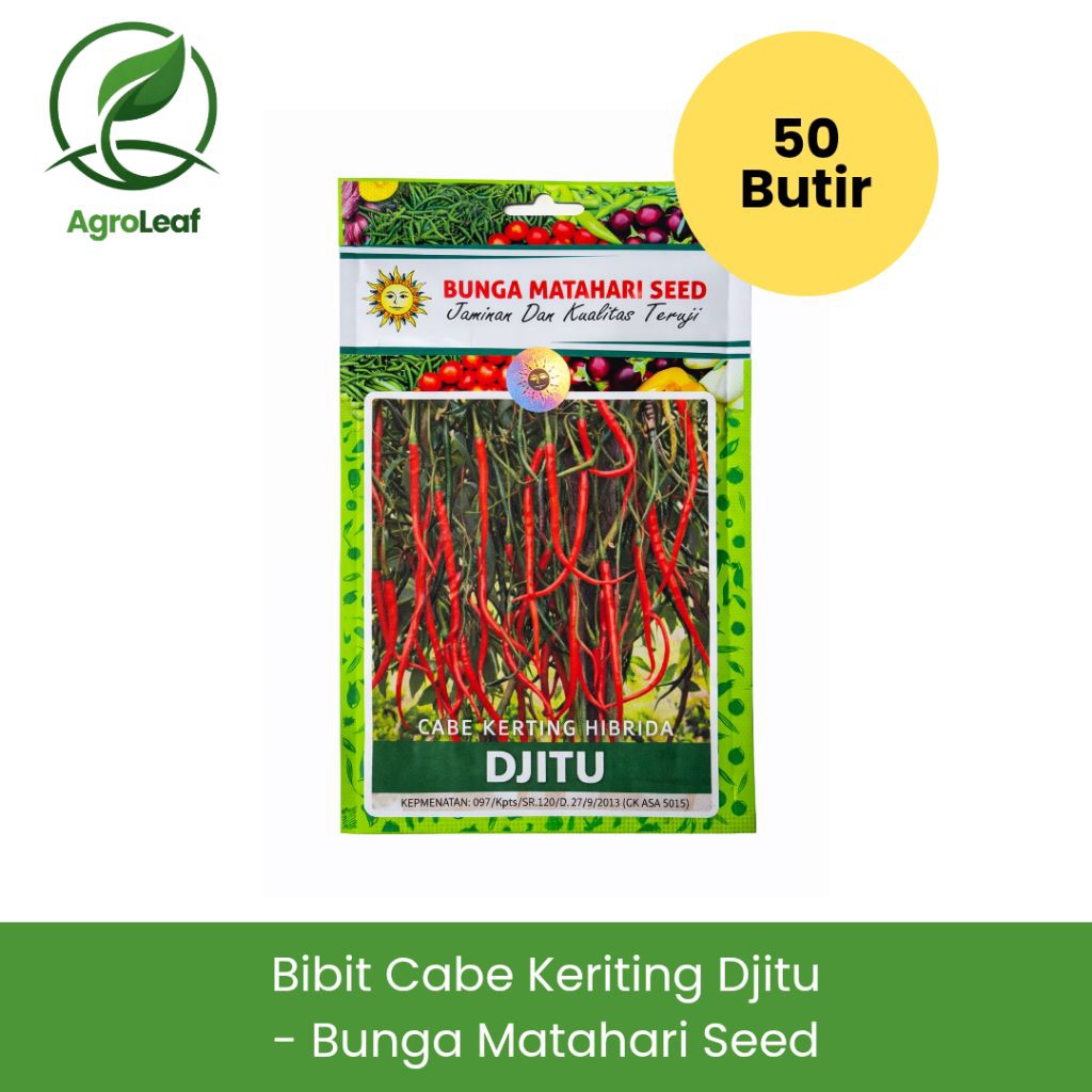 BIBIT CABE KERITING DJITU - BUNGA MATAHARI SEED (50 BUTIR) | Benih Cabai Keriting Unggul