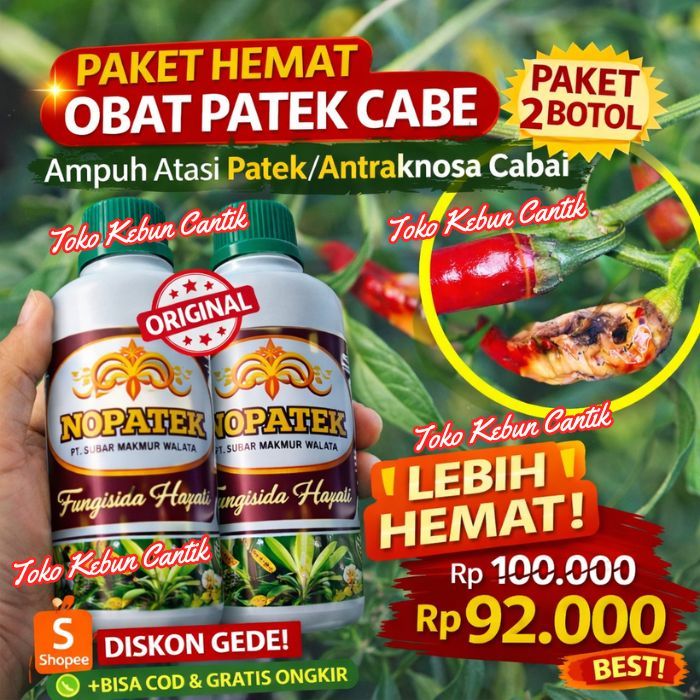 Obat Patek Cabe NOPATEK 500ml x2 Botol – Fungisida Antraknosa & Busuk Buah Cabai