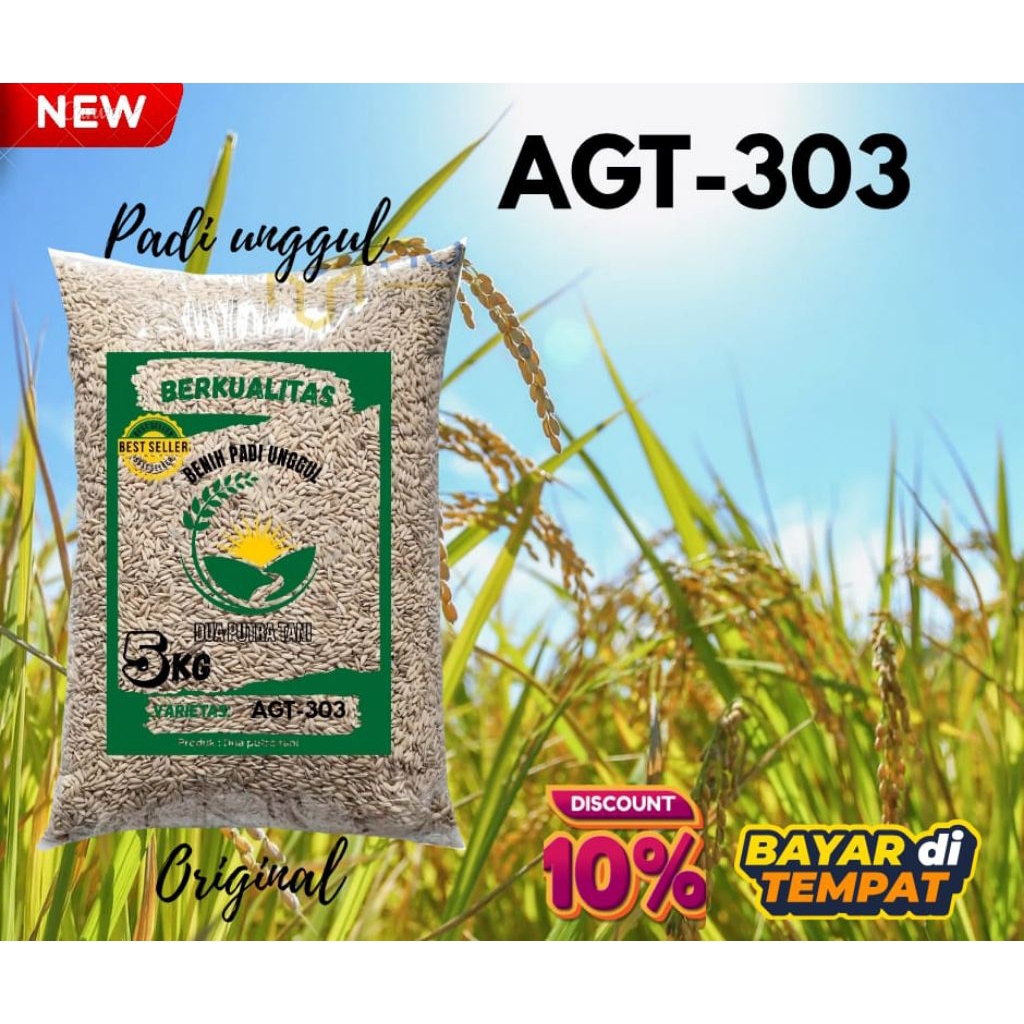 BENIH PADI AGT 303 BIBIT PADI UNGGUL BERKUALITAS PREMIUM 5KG RASA NASI PULEN