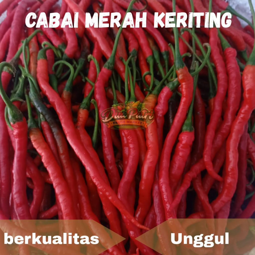 cabai merah kriting CMK fresh berkualitas unggul