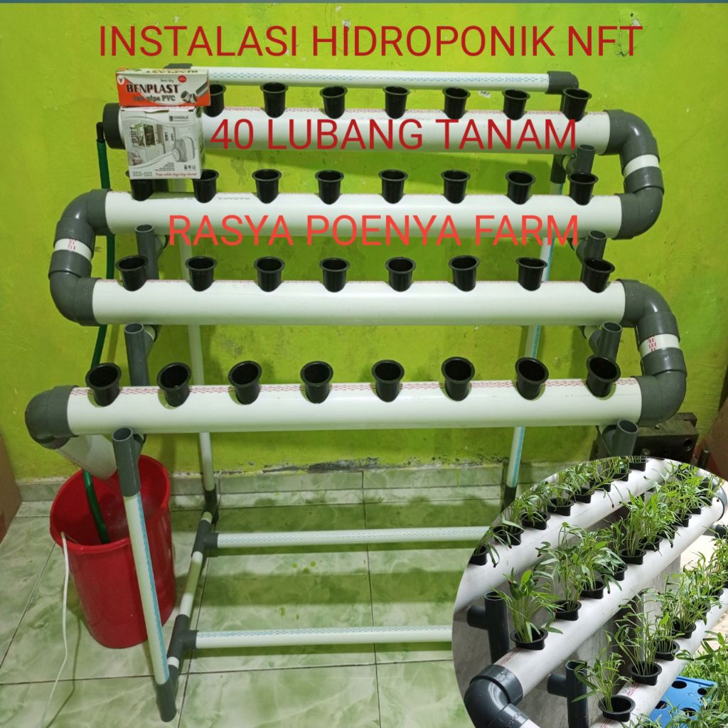 Paket lengkap Instalasi Hidroponik Nft - paket lengkap Hidroponik DFT
