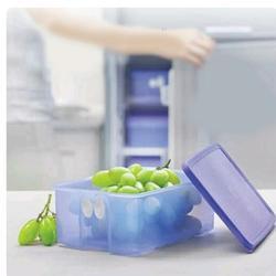 FRIDGESMART - TUPPERWARE