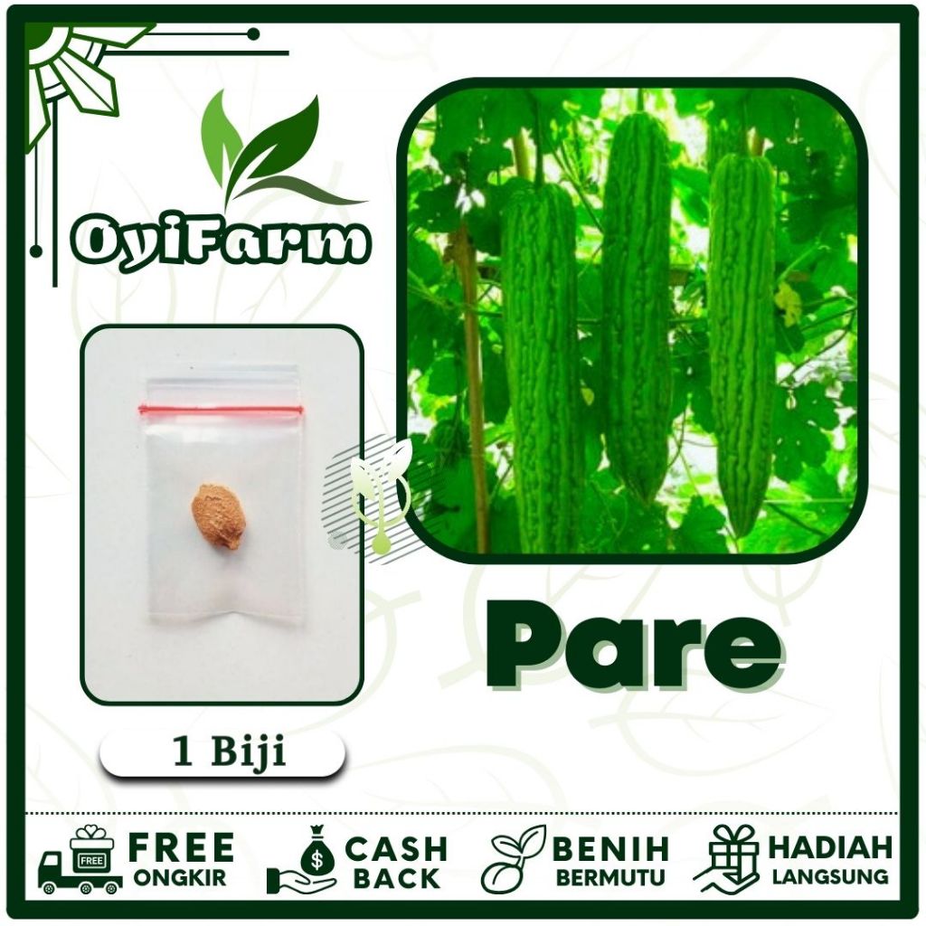 Benih Pare Sayuran Pahit Besar - Bibit Sayuran