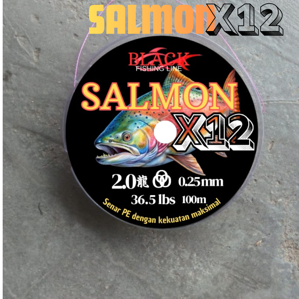 SENAR PE SALMON X12 100 METER SENAR PANCING BENANG PE MULTICOLOUR