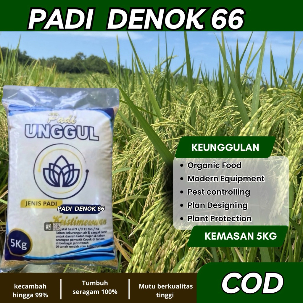 PADI GALUR DENOK TAIWAN KEMASAN 5KG