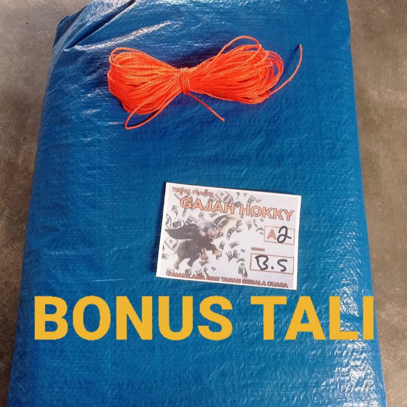 Terpal Tenda 3x3 Meter A2 Terpal Jemur Padi Terpal Kolam Ikan