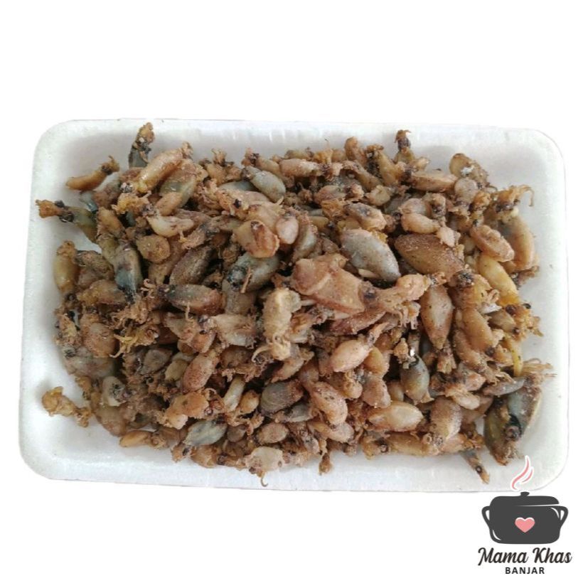 Baby Cumi Premium Medan 1kg/500g/250g/200g Mama Khas Banjar