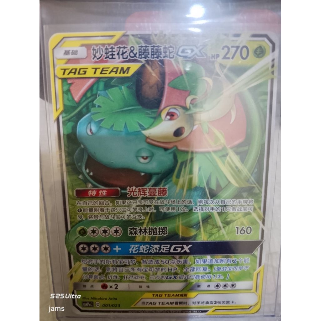 Pokemon Venusaur & Snivy GX tagteam china