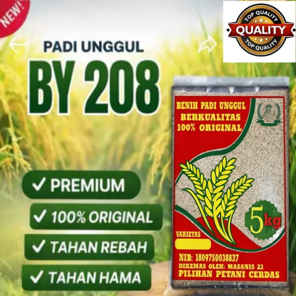 BENIH PADI BY 208 BERKUALITAS ORIGINAL KEMASAN 5KG