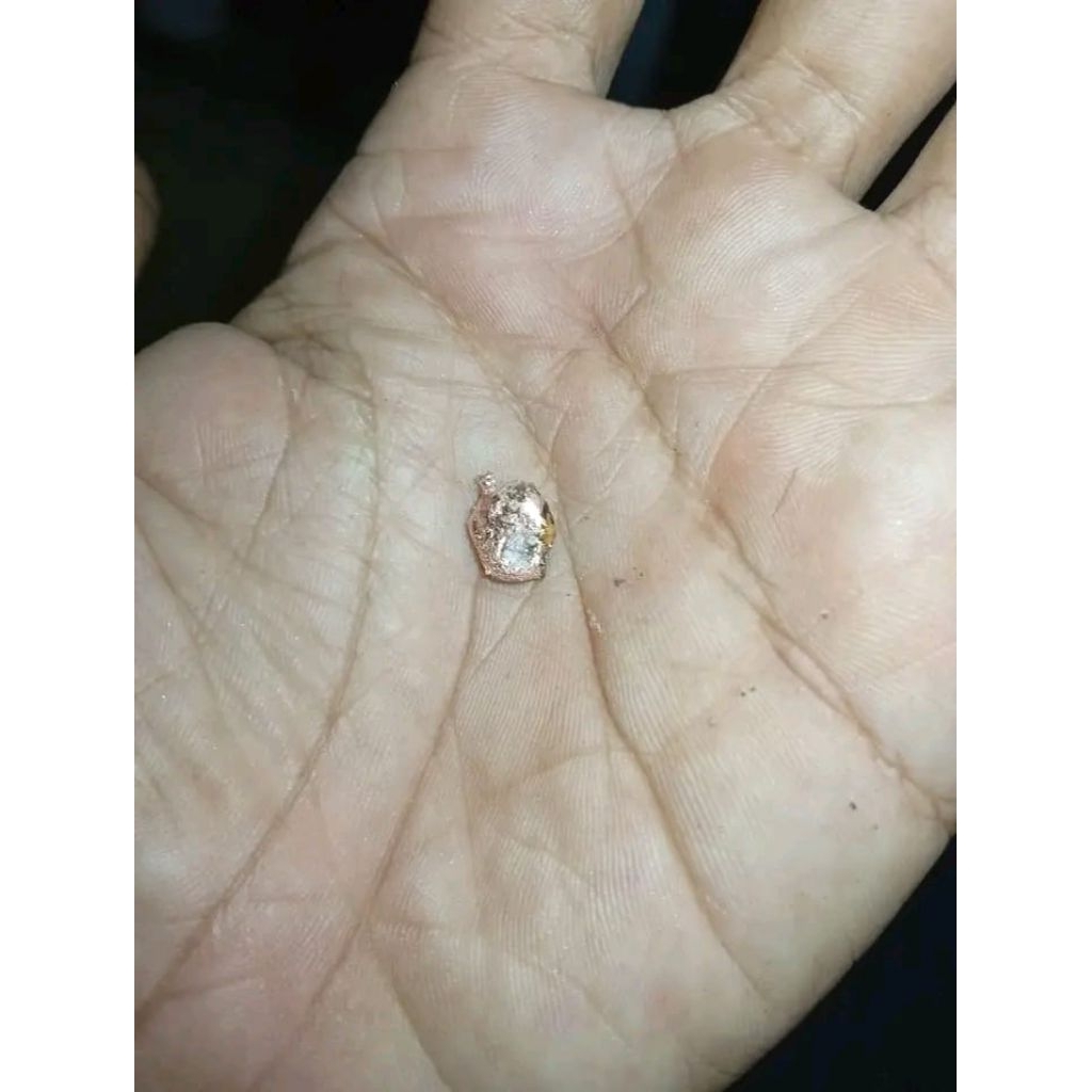 emas vietnam 10 gram