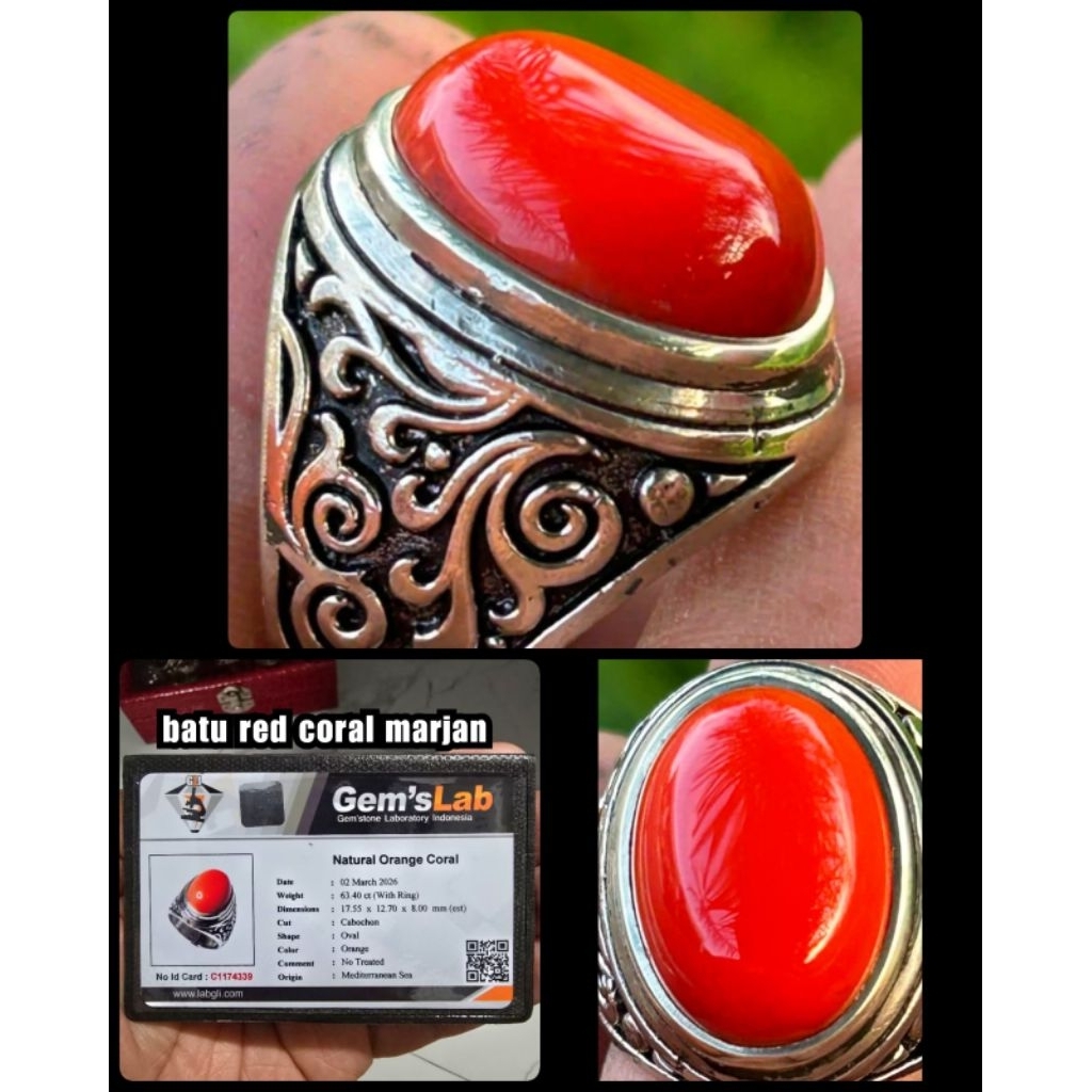 batu Marjan merah super coral asli yemen