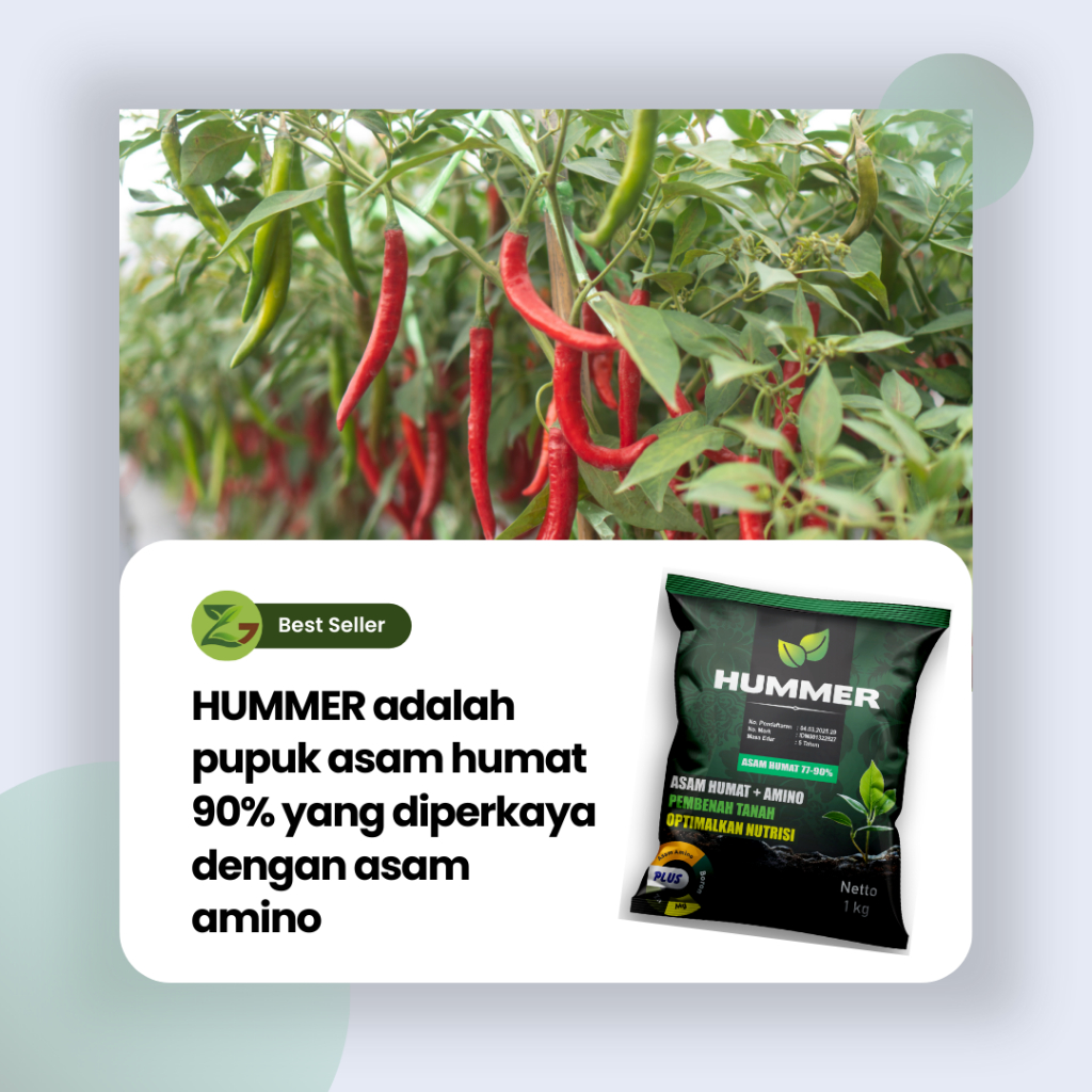 Asam Humat  90 % + Amino HUMMER 500 gram