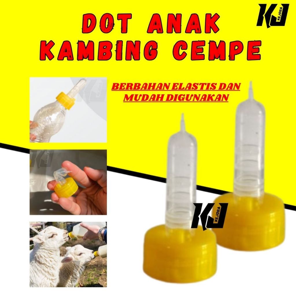 Dot Cempe Anak Kambing Domba Anjing Hewan Ternak Dot Cempe Tutup Kuning
