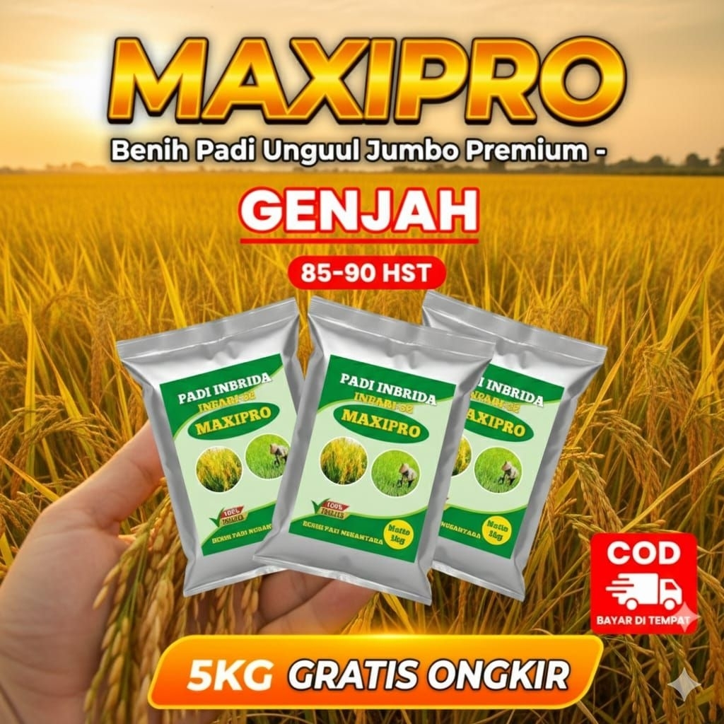 BENIH PADI MAXIPRO GENJAH BENIH PADI UNGGUL JUMBO PREMIUM