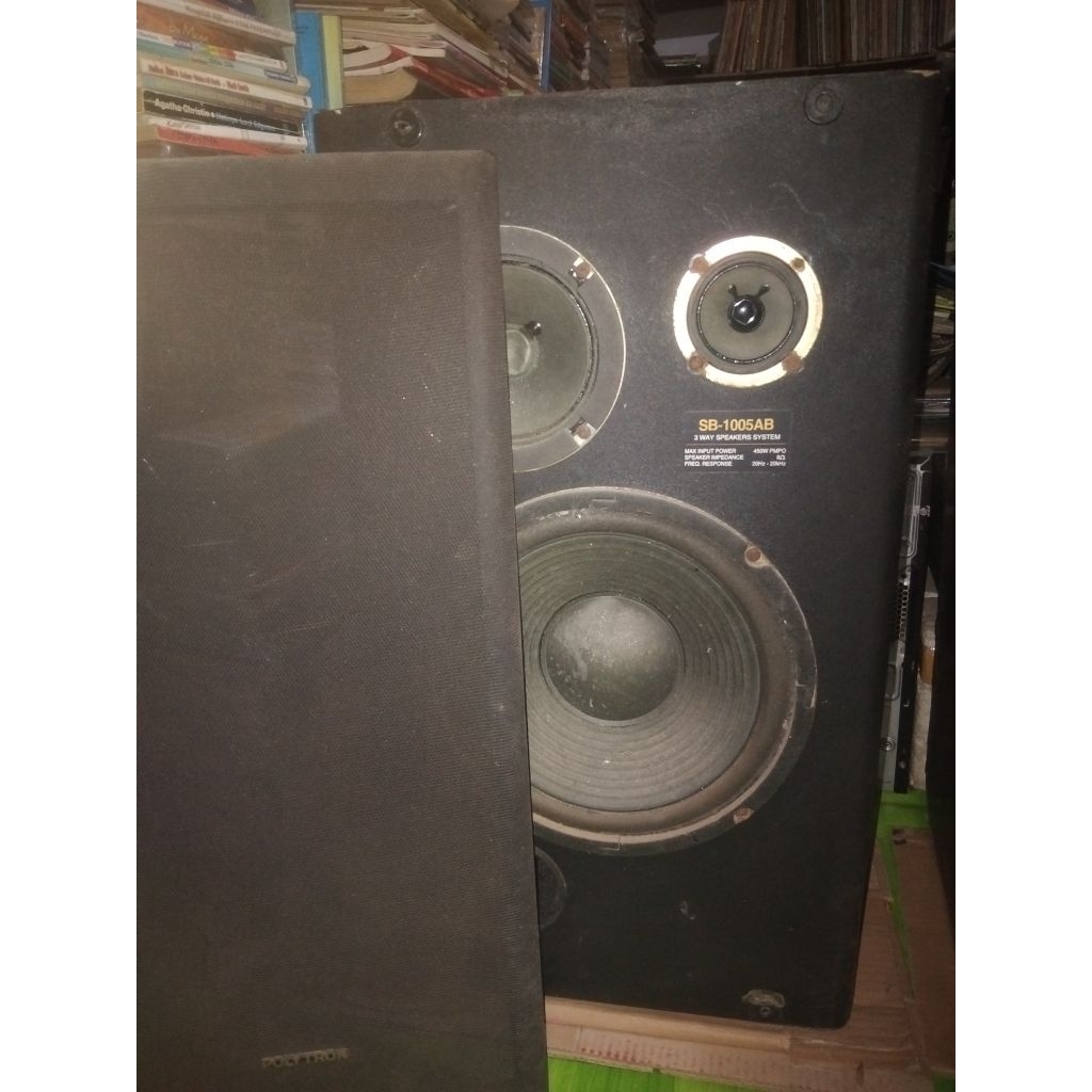 SPEAKER BIGBAND POLYTRON SB1006 AB - Salon Bigband