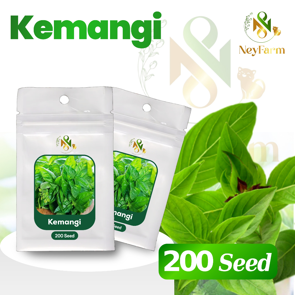 200 Benih Biji Kemangi Tidore