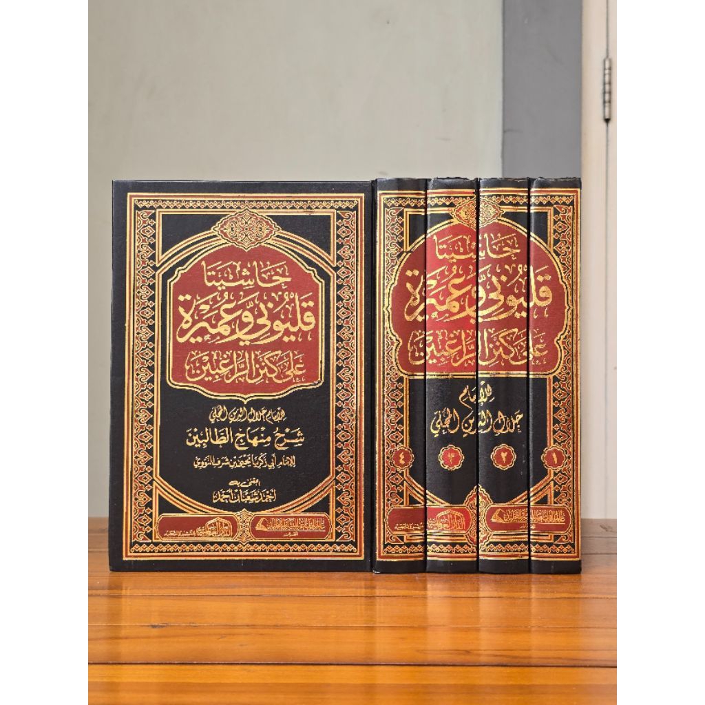 KITAB HASYIYAH QOLYUBI WA UMAIROH HASYIYATA QOLYUBI WA 'UMAIROH 'ALA KANZ AR ROGHIBIN DAR ALAMIYAH 4