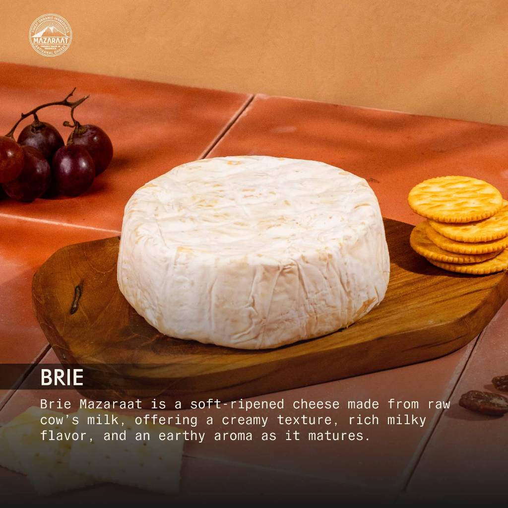 MAZARAAT Keju Brie (Camembert Style)