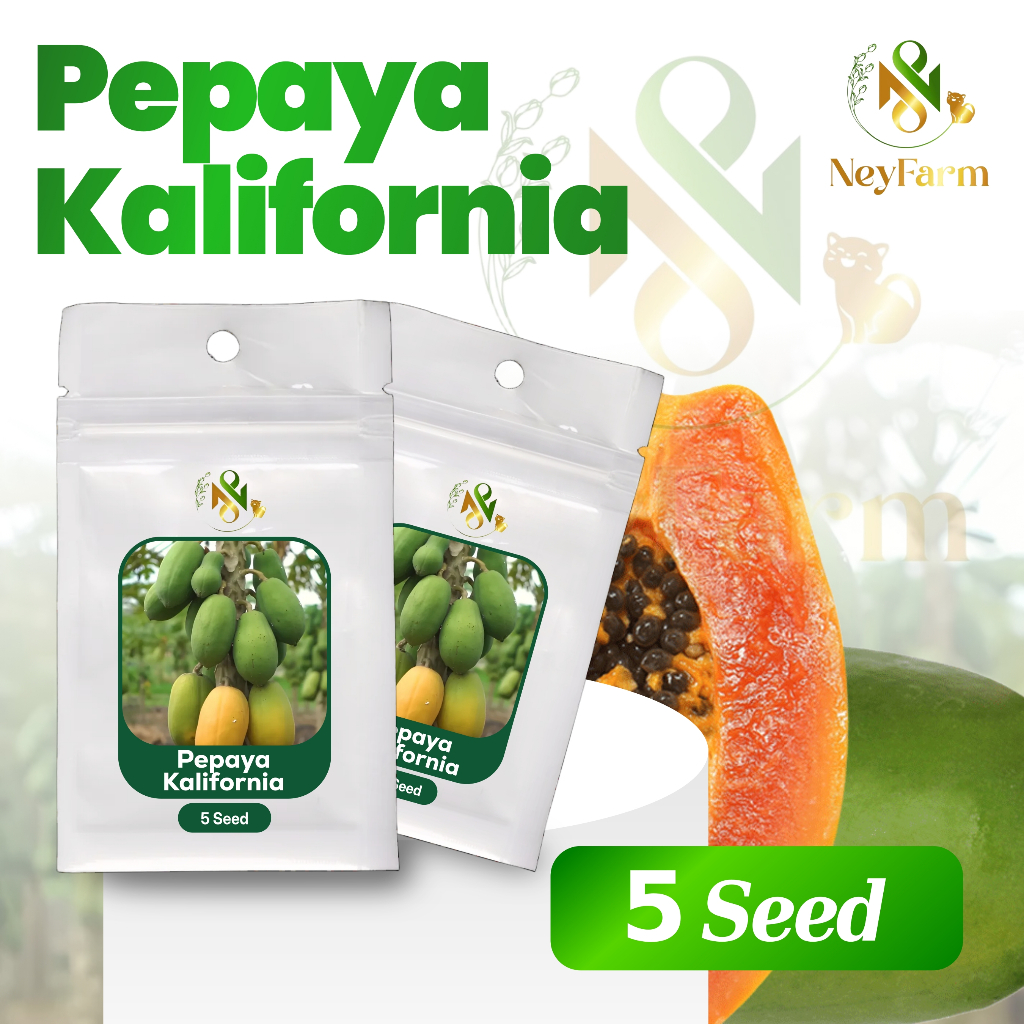 5 Biji Benih Pepaya California Buah Pepaya California Benih Buah Berkualitas