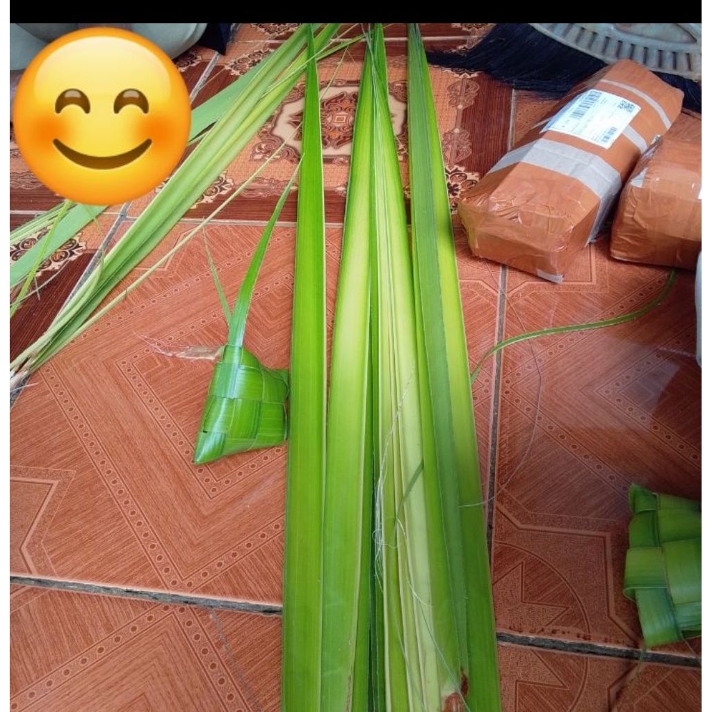 Sedia Janur ketupat | Bahan cangkang ketupat
