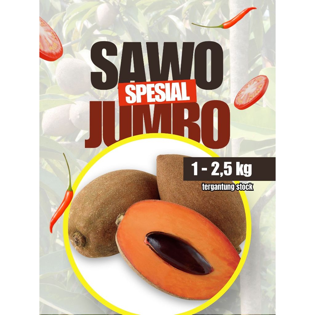 PALING DICARI !! Buah Sawo Jumbo Organik, Buah Sawo Jumbo Super