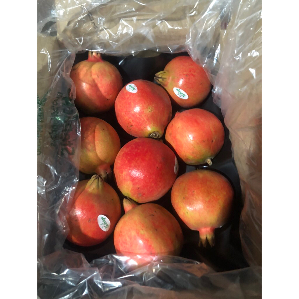 Delima Merah India 1 kardus 2 kg