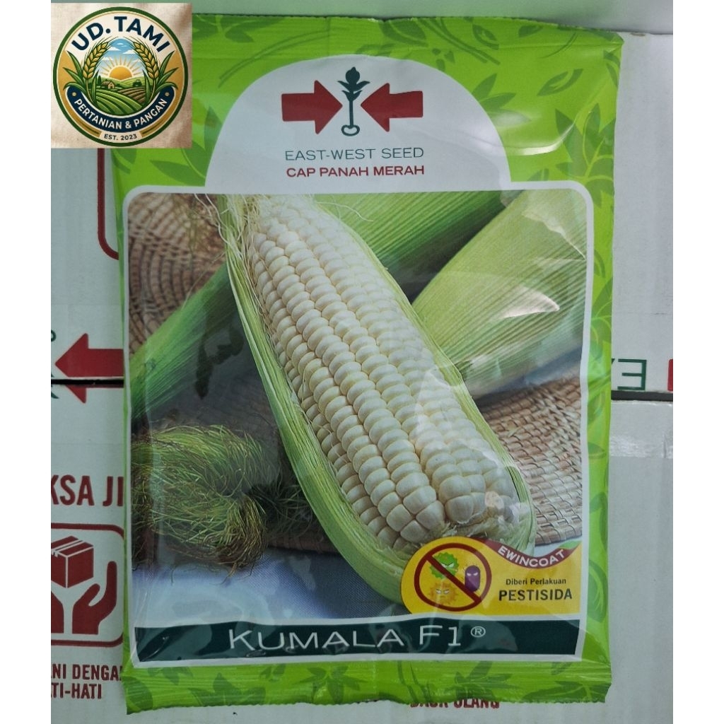 Benih Jagung Pulut Kumala F1 isi 250 Gram