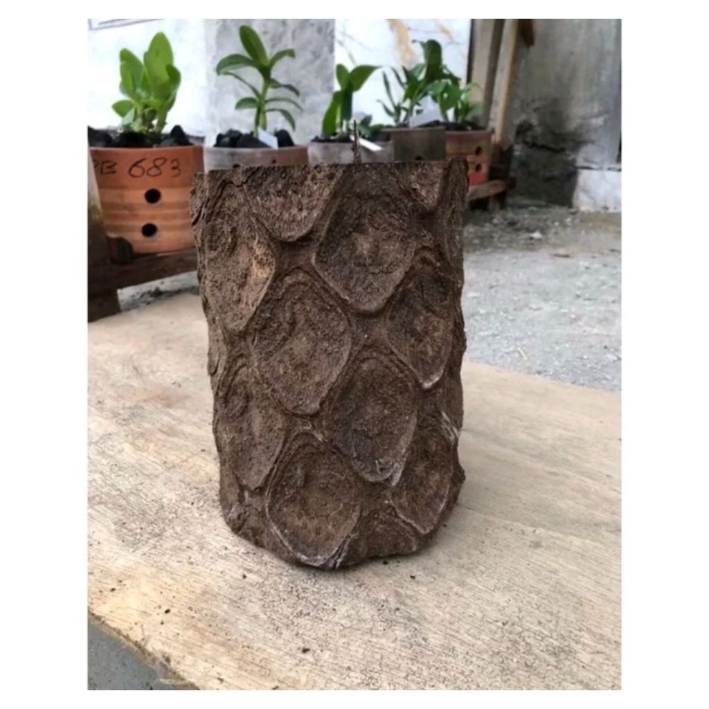 soft pot pakis pot untuk anggrek