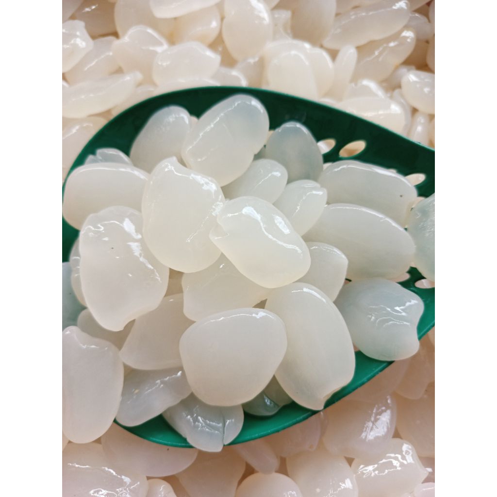 KOLANG KALING FRESS 100% ORGANIK