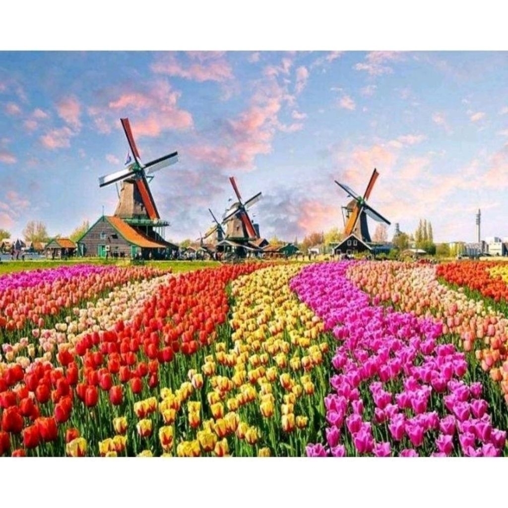 DIY paket kristik BUNGA TULIP GARDEN kincir angin holland belanda full cross stitch kit 14ct