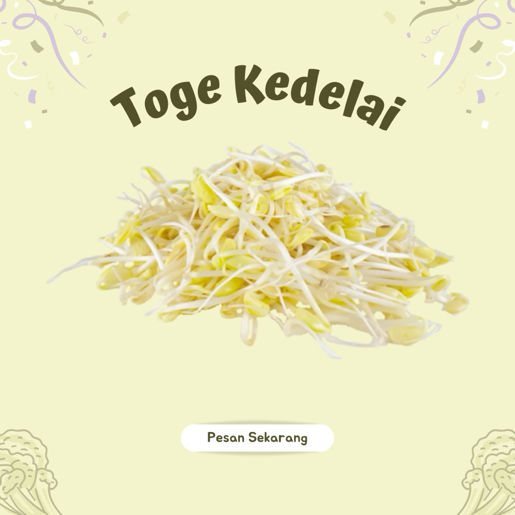 Toge dele Tauge Kedelai Kecambah Kedelai Segar - sayur fresh solo
