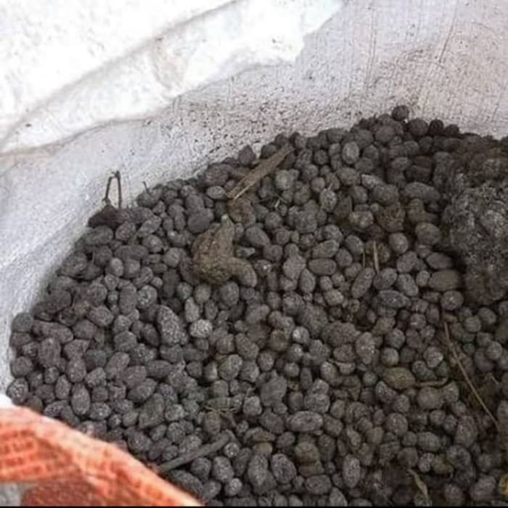 kohe kambing kemasan 1kg