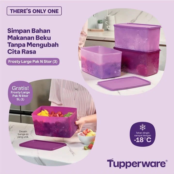 Tupperware Freezermate 3L Large Pak N Stor Untuk Wadah Penyimpanan Di Freezer Tahan Beku 3L Desain M
