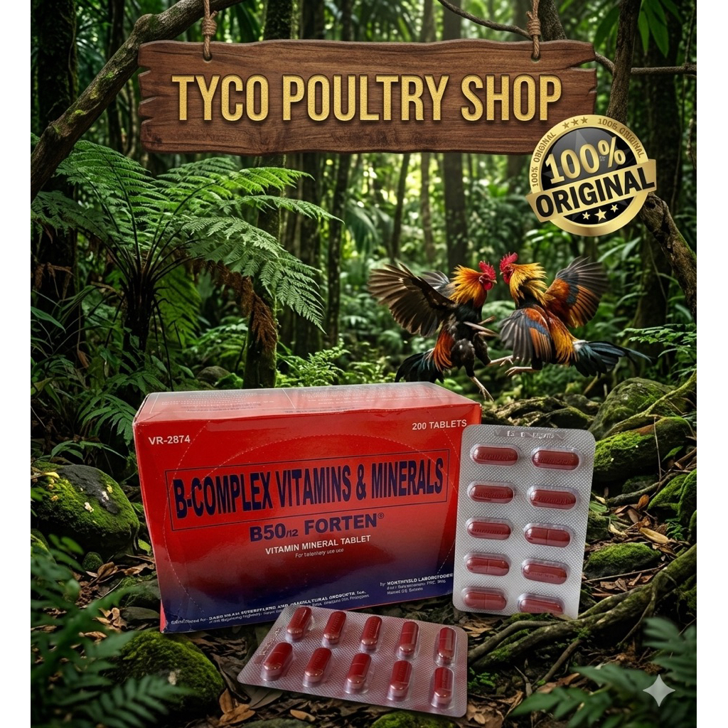 B50 FORTEN 10 TABLET VITAMIN AYAM