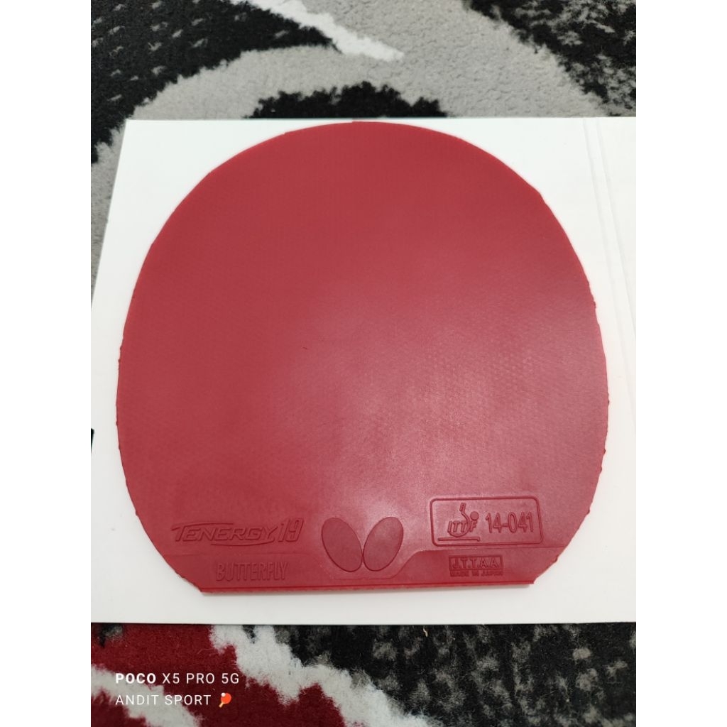 Butterfly Tenergy 19