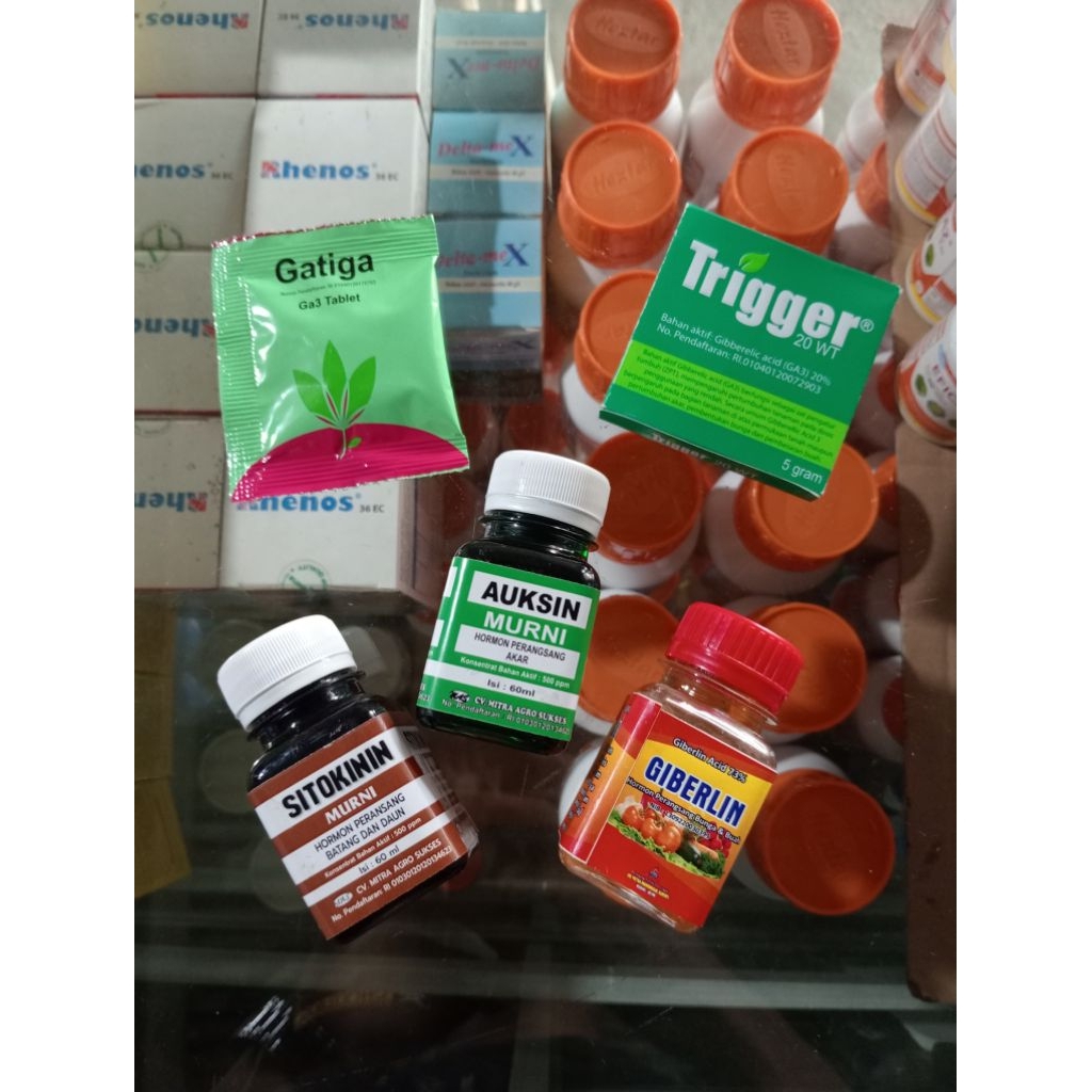 Zat Pengatur Tumbuh Dan Tanaman(ZPT)