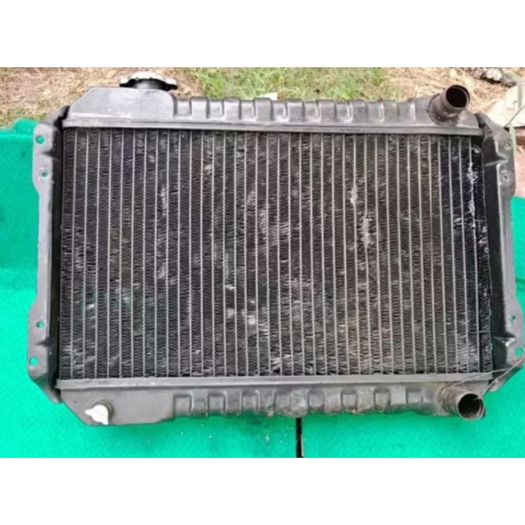 Radiator Carry 1.0 St100 Copotan Original