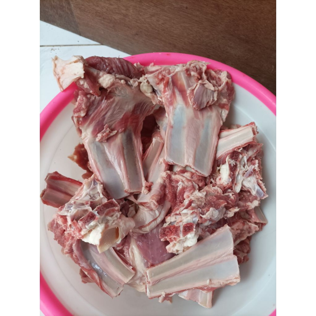 TULANG IGA DOMBA / KAMBING