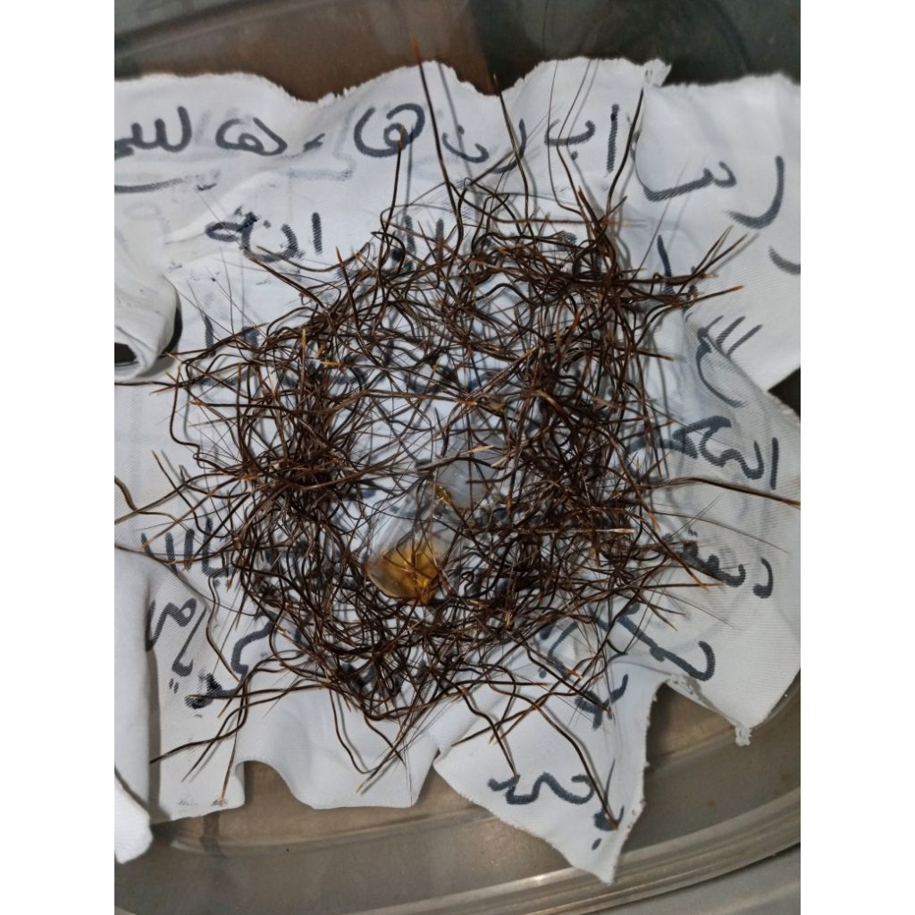 Aksesoris Etnik Kalimantan 02