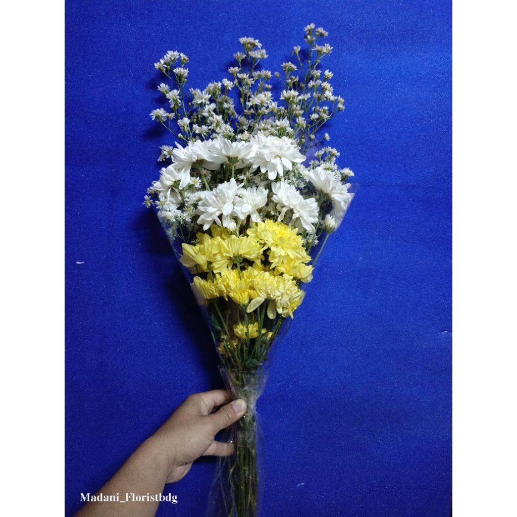 Aster Kuning Mix Pikok Putih
