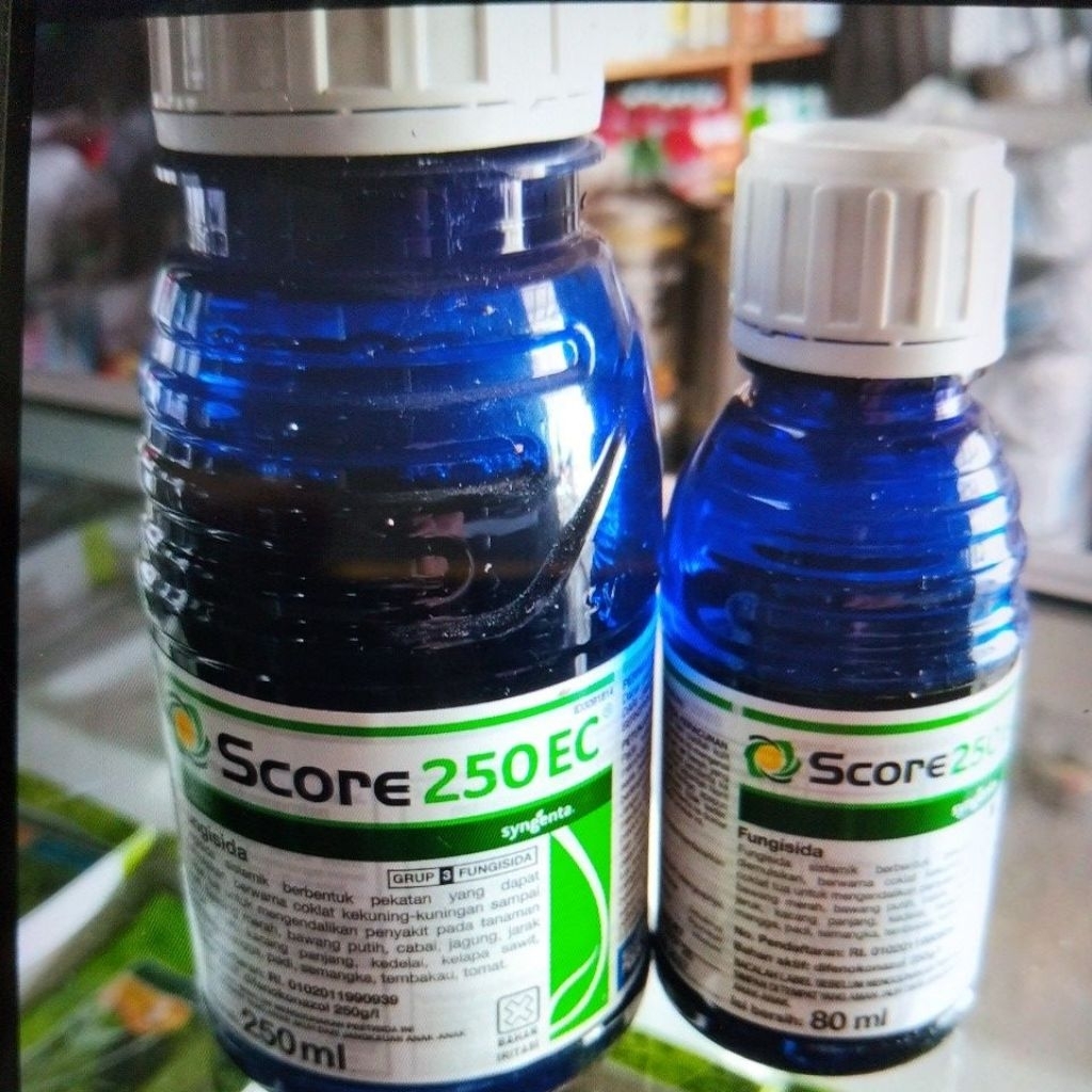fungisida sistemi score