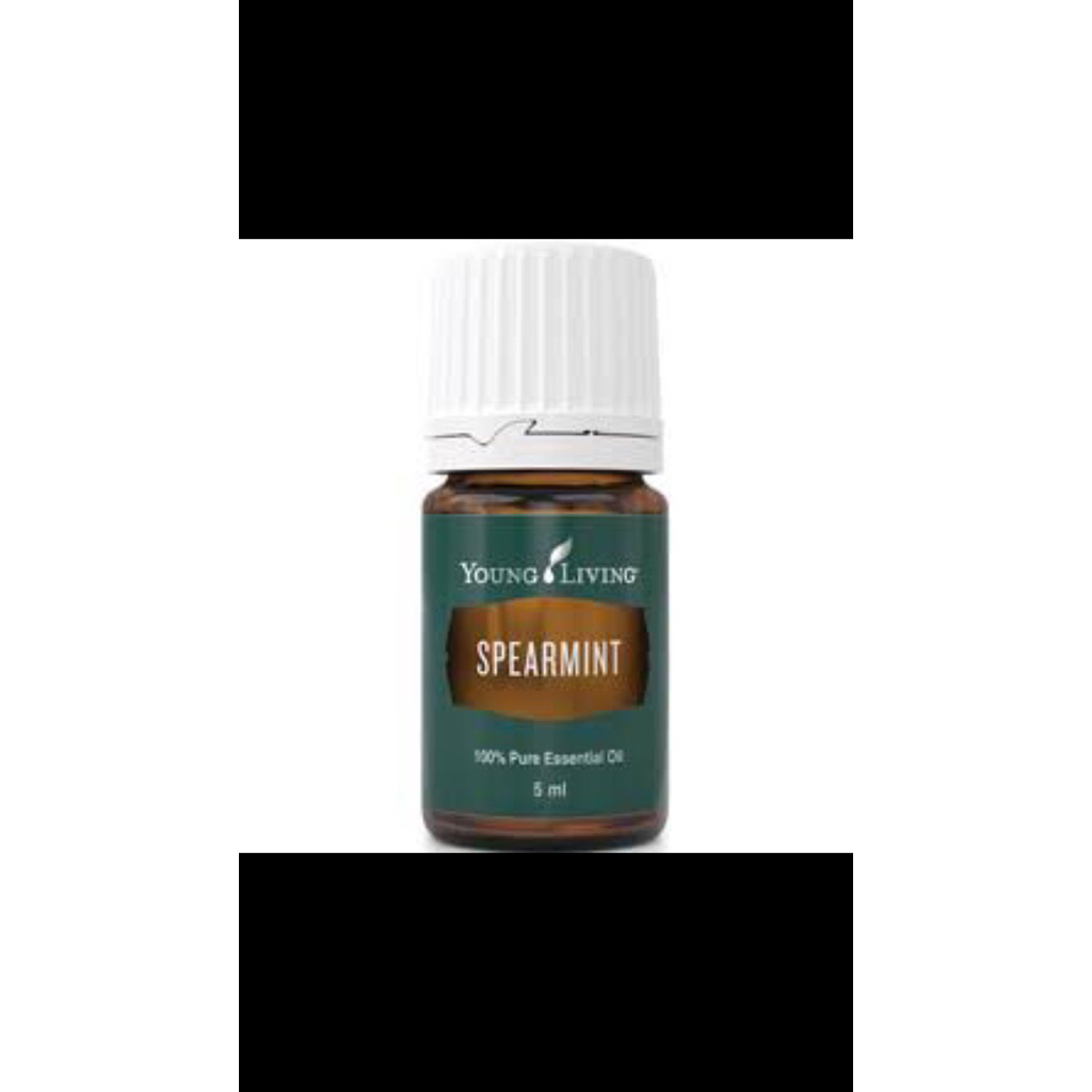 Spearmint young essential oil living. Spearmint 5ml essential oil living. Young living bandung, youn