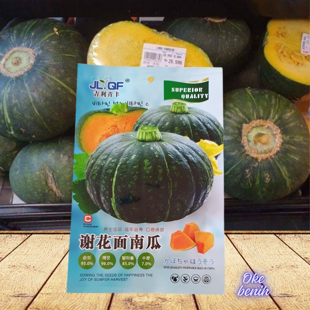 15 BUTIR BENIH LABU KABOCHA HIJAU