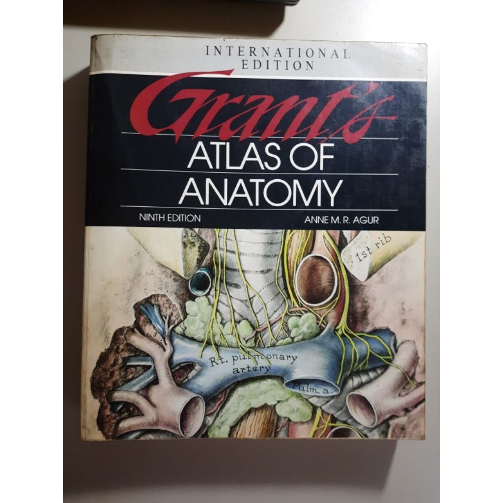 Buku Kedokteran Atlas Anatomi dari fakultas Kedokteran Toronto Kanada