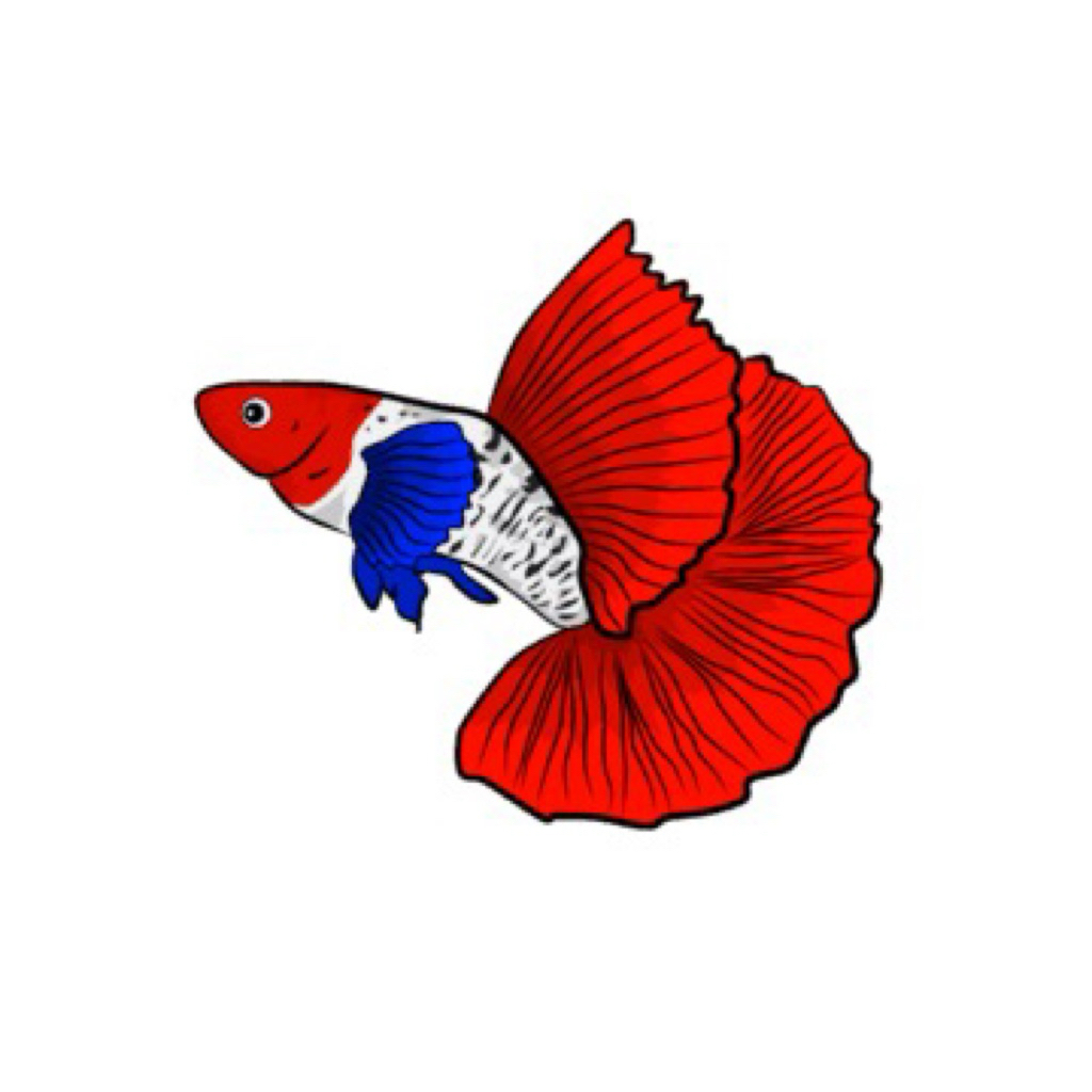 stiker guppy prtde ribbon hm rosetail