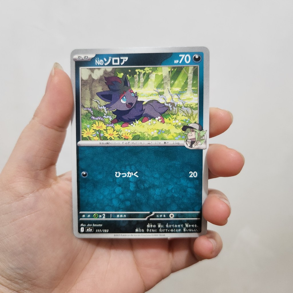 Kartu Pokemon TCG Japan - N's Zorua